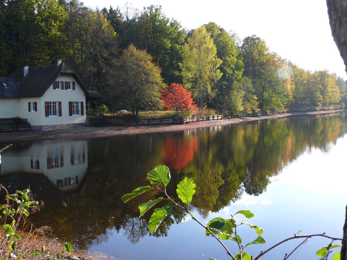 Blick Zum Maimont Hotell Ludwigswinkel Eksteriør bilde