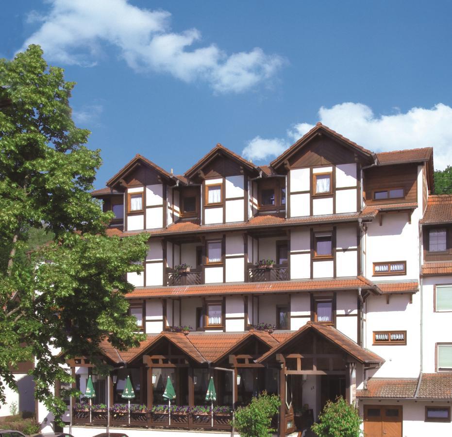 Blick Zum Maimont Hotell Ludwigswinkel Eksteriør bilde